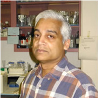 Sumitra Deb, Ph.D.